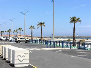 Appartement Studio PORT LA NOUVELLE PN480-046 - 1