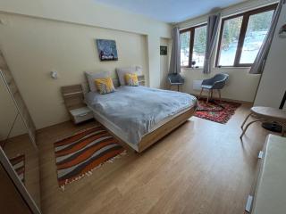 The Castle Mountain Apartments - Pamporovo - 6