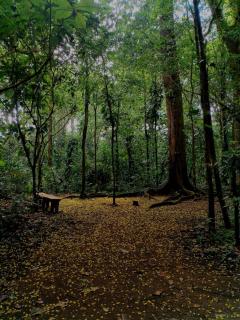 Camping Finca Planeta Sano - Naranjito - 2