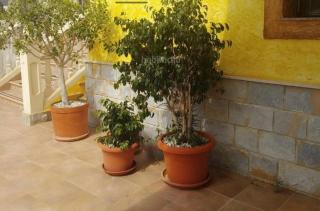 Alojamiento rural Villa Carmen - Mula - 4