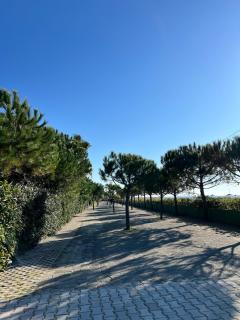 Seaside Villa with Private Yard on Adriatic Coast - Hamallaj - 1