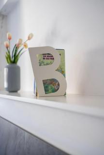 Bea's Room - Nocera Inferiore - 4