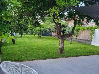 Oasi Agrumi e Mare - Mascali - 5