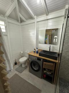 la Canne a sucre - 9