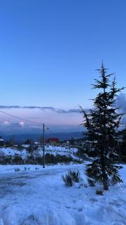 Casa dos Pinheiros - Serra da Estrela - Penhas da Saúde - 2