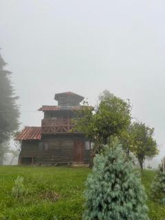 Bosque de Niebla - Tlatlauquitepec - 0