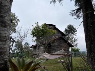 Bosque de Niebla - Tlatlauquitepec - 5