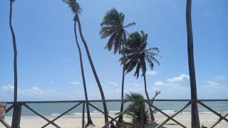 Paraíso no Cumbuco - EcoParadise - Caucaia - 4