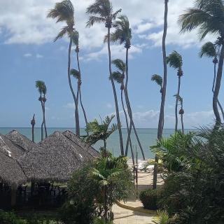 Paraíso no Cumbuco - EcoParadise - Caucaia - 3