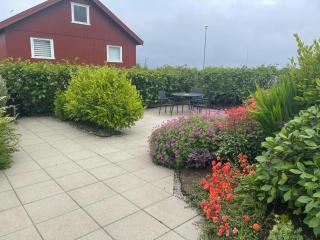 Central apartment in a quiet neighborhood - 2