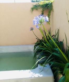 The Snug - Villa Gesell - 5