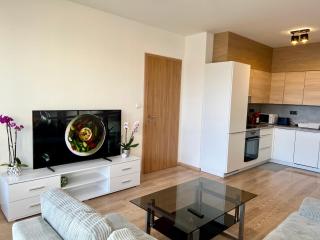 Tomaš Apartment,Free Parking-02 Arena - Prague - 6