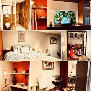 Le Duo Forézien - 2 Apts au RDC côte à côte - Proche gare et centre - Wifi - Feurs - 7