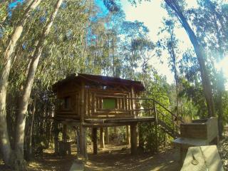 Cabanas Curi-Huapi - Isla Negra - 4