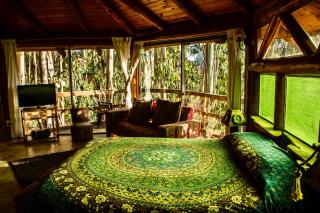 Cabanas Curi-Huapi - Isla Negra - 3