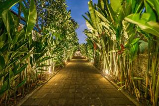 Charming 2BR Wooden Villa with Lush Garden Oasis by Santi Management - Canggu - 5