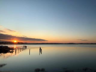 Waterfront Escape - Close to Airport & Downtown - Boston - 4