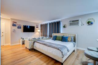 Luxury Studio King Bed Chicago Remodeled - Chicago - 7