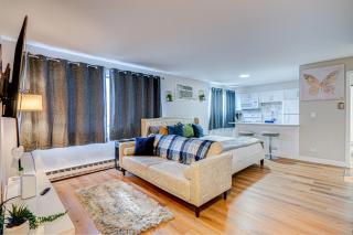 Luxury Studio King Bed Chicago Remodeled - Chicago - 5