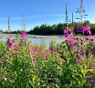 Lodge Suites at Susitna River Lodge - 9