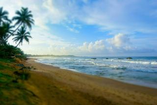 Breeze Villa by Backyard Beach - Hikkaduwa - 8