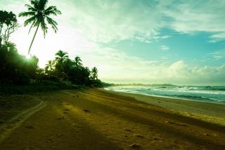 Breeze Villa by Backyard Beach - Hikkaduwa - 6