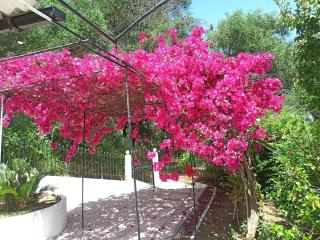 Seaview Mini Villa with Private Pool - 200 metres from the beach - 6