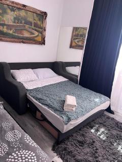 Ultra Central Piata Libertatii Apartment - 4