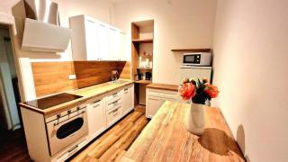 Apartments with WiFi Zagreb - 23693 - 4