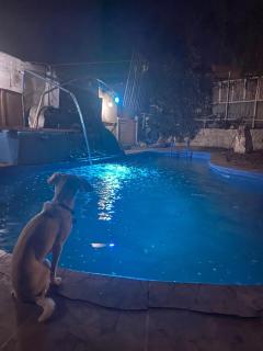 Amplia casa con piscina y vista al mar - 9