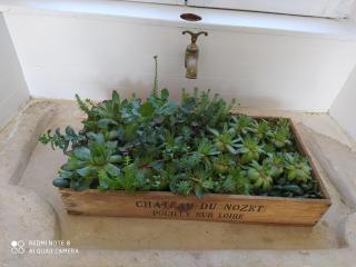 Gîte calme 4 chambres, terrasse privative, draps inclus - Germonville - FR-1-584-167 - Germonville - 9