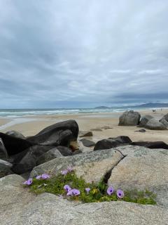 Casa da Trilha - Floripa - 2