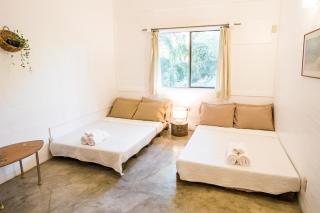 KAHILOM Nest Self-Service Home in Rainforest Nest with Kitchen - Pet Friendly, Monkeys, Bats! - - 7