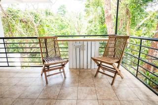 KAHILOM Nest Self-Service Home in Rainforest Nest with Kitchen - Pet Friendly, Monkeys, Bats! - - 2