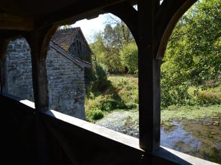 Moulin atypique du XVème siècle avec jardin clos - FR-1-381-483 - 7