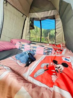 Khaosok Mysterious Restaurant and Camp ร้านลึกลับริมคลอง - Khao Sok - 3