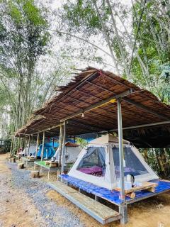 Khaosok Mysterious Restaurant and Camp ร้านลึกลับริมคลอง - Khao Sok - 4