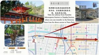 嵐 Arashi BNB 难波西 No8112 - Osaca - 5