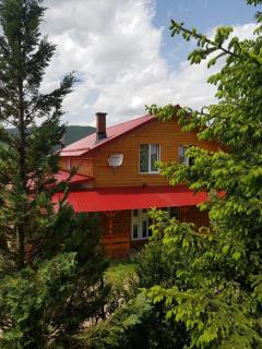 Cabana Goia Paltinei - Muntele Rece - 0