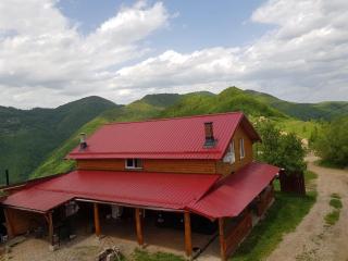 Cabana Goia Paltinei - Muntele Rece - 8