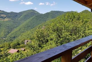 Cabana Goia Paltinei - Muntele Rece - 3