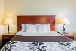 Sleep Inn & Suites Manchester near Arnold AFB - Manchester - 8