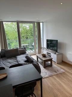 Modern Chelsea Bridge Apartment - Battersea Park View - Londra - 0