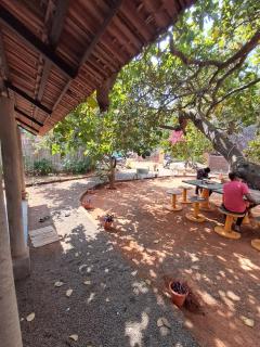 Pondy Jungle Resort with Swimming pool - Auroville - 3