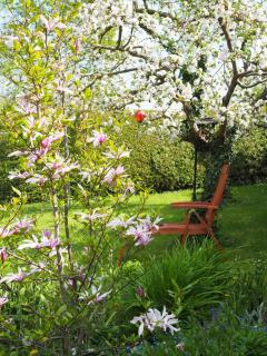 Jarmen Ferienwohnung - 7