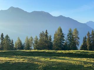 Adler Residenz 14 - Riederalp - 2