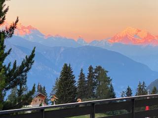 Adler Residenz 14 - Riederalp - 5