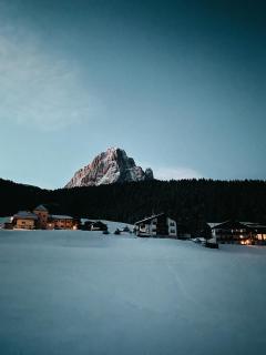 Mountain Chalet Pra Ronch - Sëlva - 7