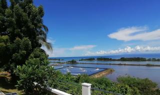 Seaview Residence-Garden Privat Resort, room2 - - 7
