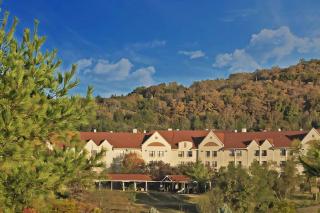 Branson Hillside Hotel - Branson - 9
